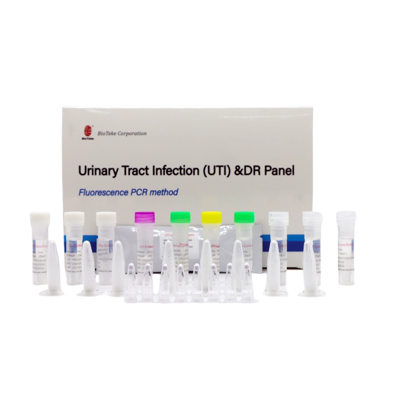 Infecção do trato urinário (UTI) e painel de DR (método de PCR de fluorescência) 