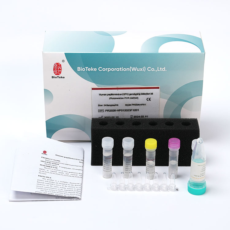 kit de detecção de genotipagem hpv