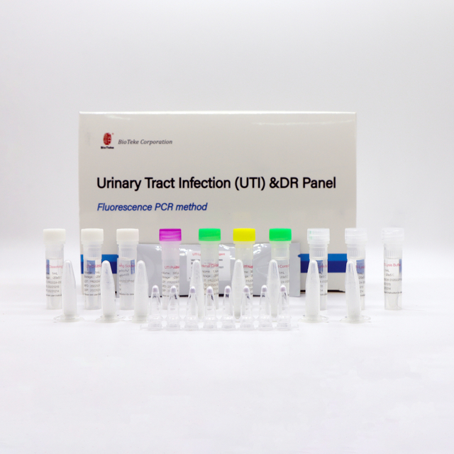 Infecção do Trato Urinário (ITU) e Painel DR (Método de PCR de Fluorescência) 