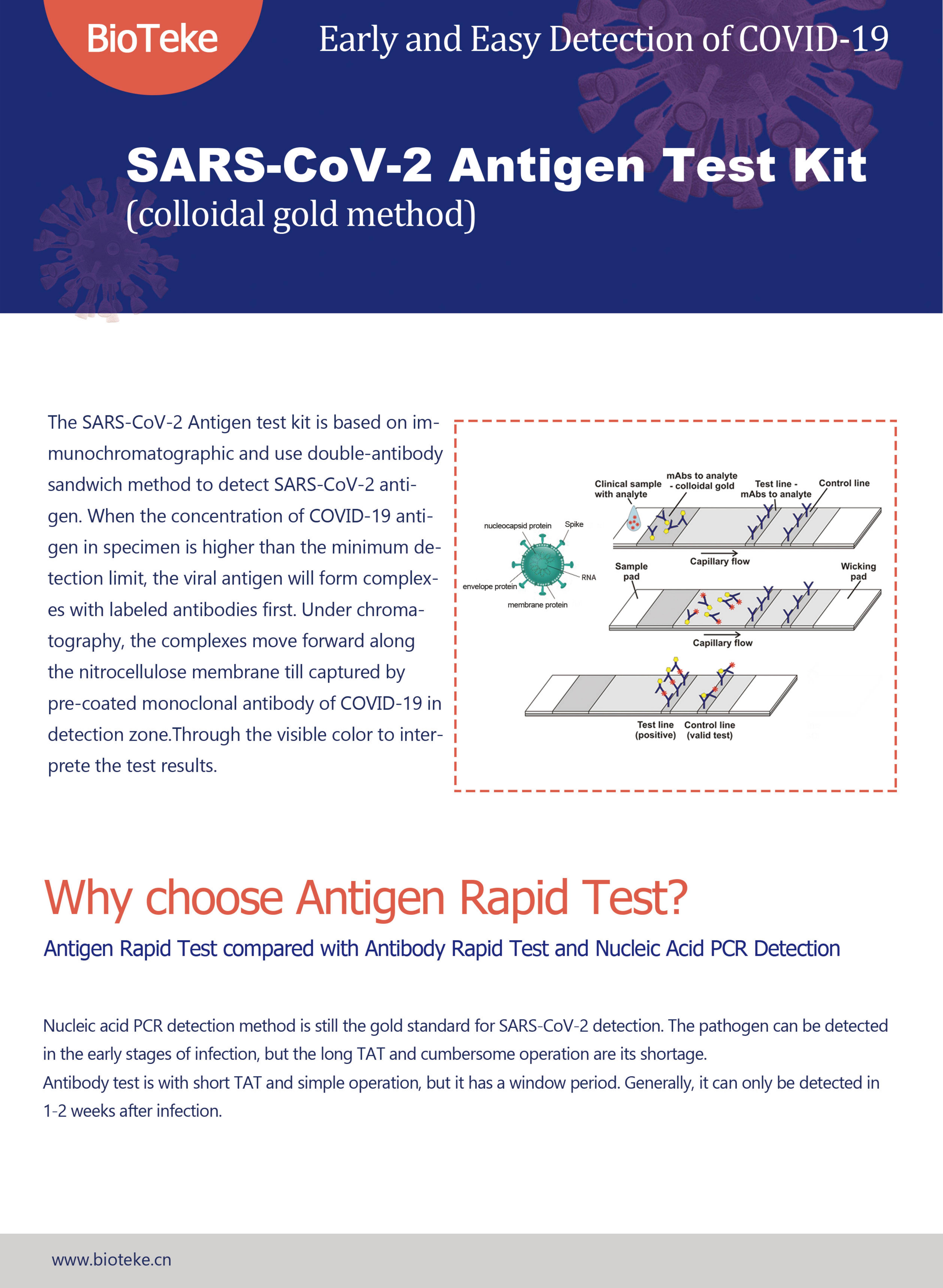 Kit de teste de antígeno-bioteke (2021.3.16) _00