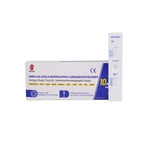 Respiratório 10 em 1 SARS-Cov-2/Flue A+B/HPIV2/HPIV1+3/RSV/Adv/MP/SP/HMPV Antígeno Rapid Test Kit