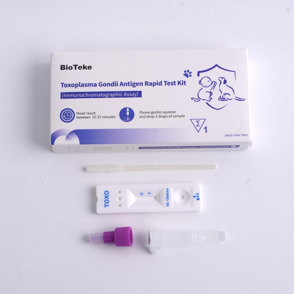 Kit de teste de toxoplasma gondii 