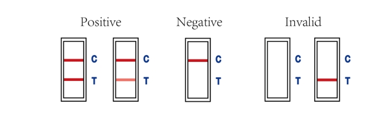 INTERPRETAÇÃO DOS RESULTADOS DO TESTE