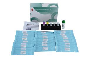 Kit de detecção de genotipagem de Papilomavírus Human (Kit de Detecção de Genotipagem (Método Fluorescência PCR) 