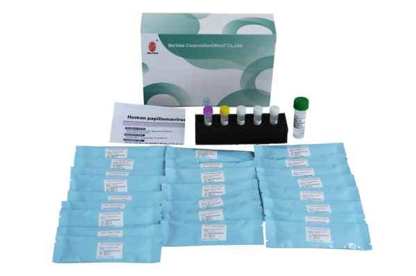 Kit de detecção de genotipagem de Papilomavírus Human (Kit de Detecção de Genotipagem (Método Fluorescência PCR) 