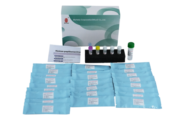 Kit de detecção de genotipagem de Papilomavírus Human (Kit de Detecção de Genotipagem (Método Fluorescência PCR) 