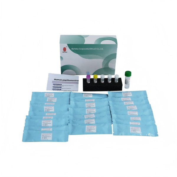 Kit de genotipagem de HPV