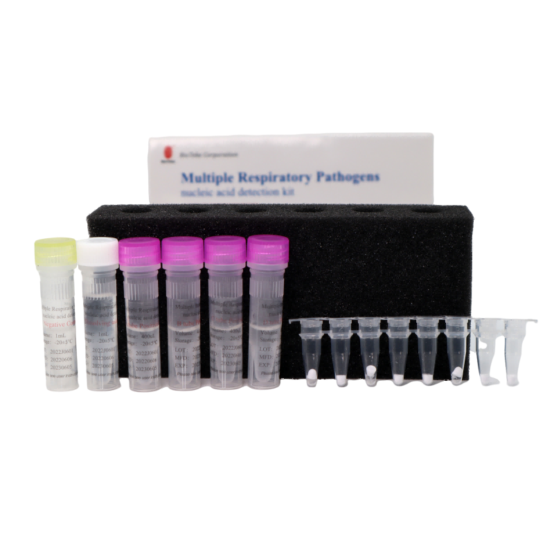 Bioteke Múltiplo de patógenos respiratórios Kit de detecção de ácidos nucleicos (método de PCR de fluorescência)