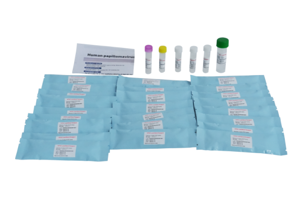 Kit de detecção de genotipagem de papilomavírus humano (HPV) PR2026-HP01 (método de PCR de fluorescência)