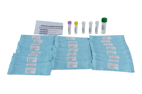 Kit de detecção de genotipagem de papilomavírus humano (HPV) PR2026-HP01 (método de PCR de fluorescência)
